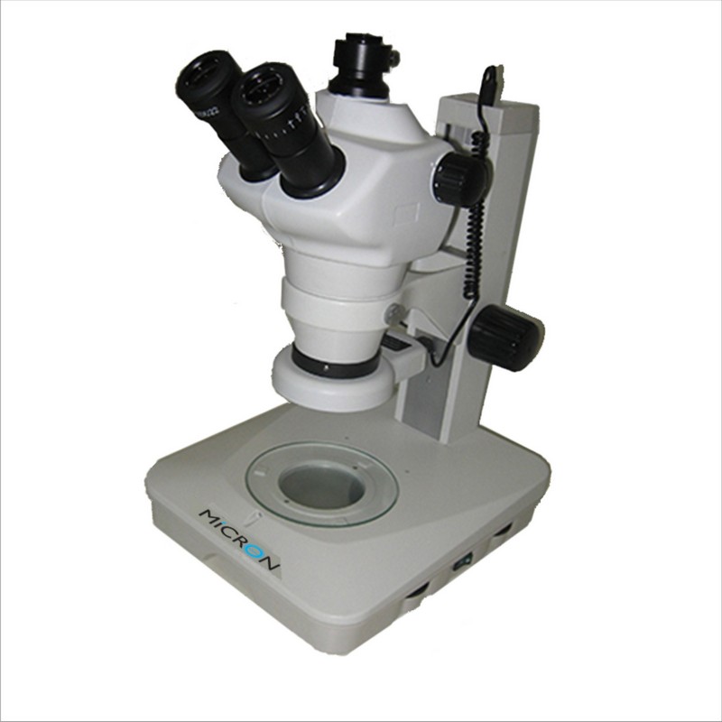 Estereoscópio binocular