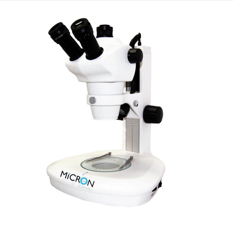 Microscópio estereoscópio trinocular